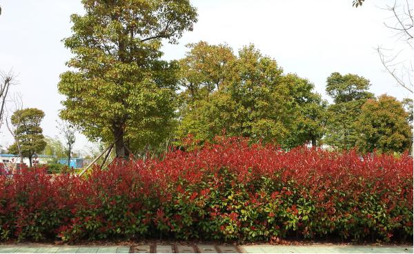 �������ݞ��^(q��)�����M���ϰ����d�� һ·һ�����ֽ����d�ȶ�·һ�d����·�����o(h��)�֎�����