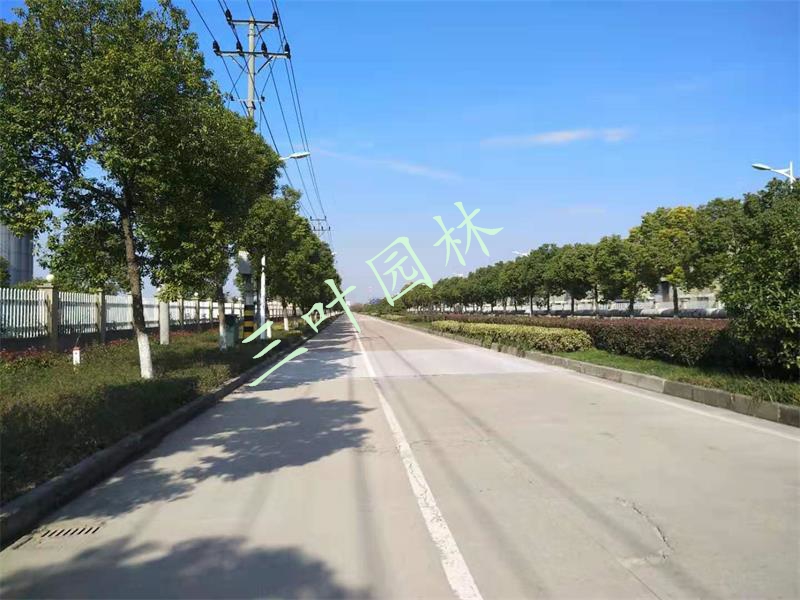 2019-2020��Ⱥ��ݞ����ݽ�(j��ng)�����g�_�l(f��)�^(q��)�G���B(y��ng)�o�Ŀ�����꣩���