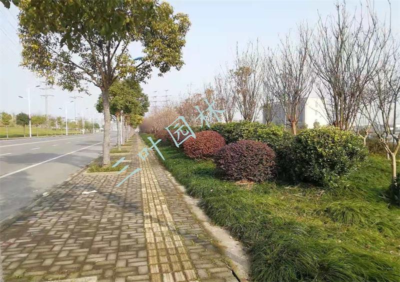 �۽��_�l(f��)�^(q��)��·�G���B(y��ng)�o����5��